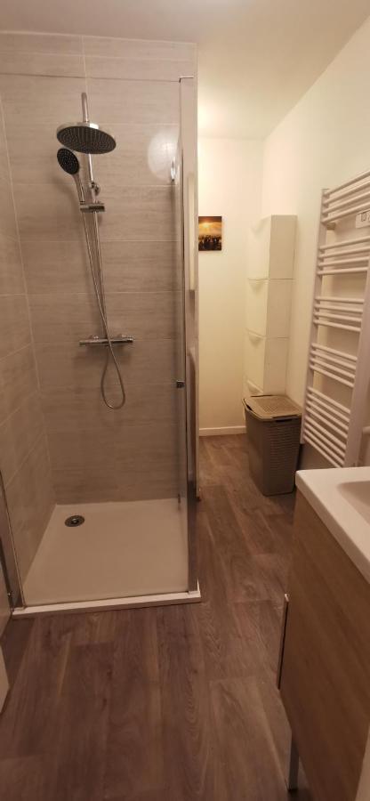 Appartement Cosy Proche Du Centre Ville De Macon H Экстерьер фото